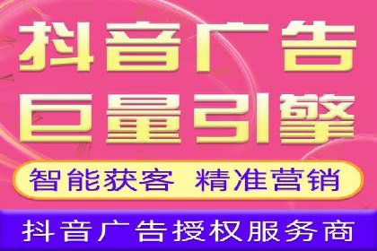 某知名品牌SEM运营策略及效果评估